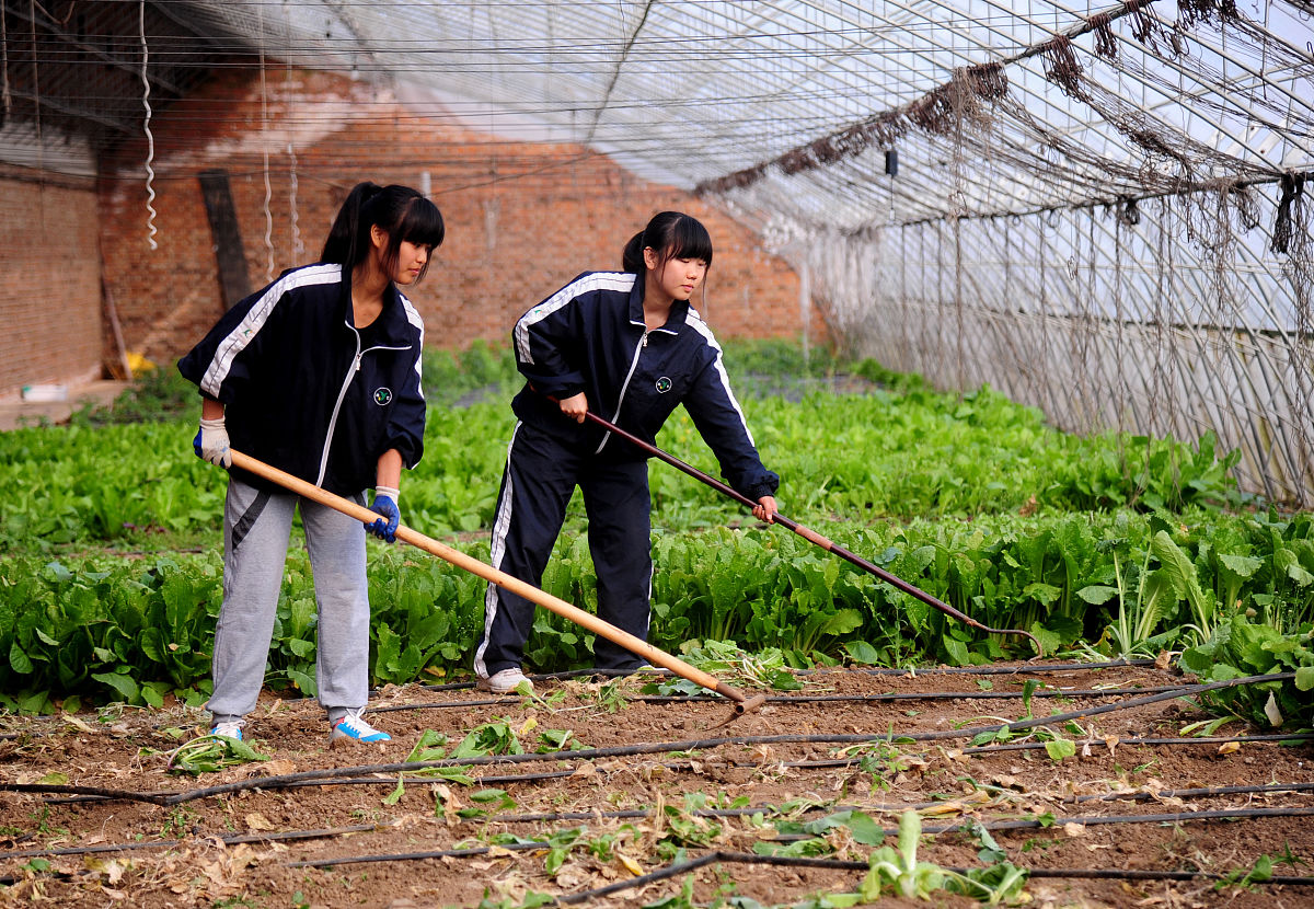 辽宁省农业技术学校2021年动物药学专业怎么样？