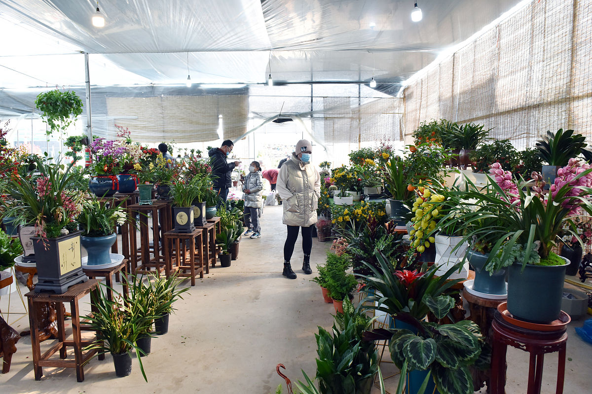 花店创业风险分析
