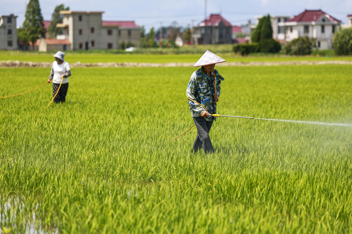 农村化肥农药减量化：方法、效益与可持续发展