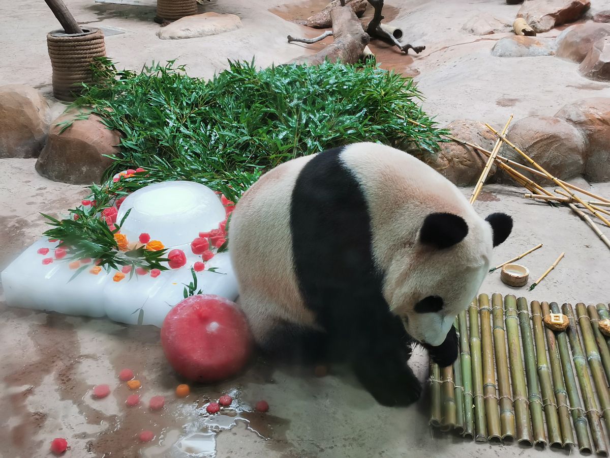 小学作文300字我的假期暑假到了我开始了美好的假期生活。这个假期我有很多的计划比如：旅游、学习、运动等等。首先我和家人一起去了旅游。我们去了很多有趣的地方比如：故宫、长城、颐和园等等。在旅游的路上我看到了很多美丽的风景也学到了很多有趣的知识。这次旅游让我感到很开心也让我更加了解了中国的历史和文化。其次我还利用假期学习了很多知识。我看了很多有趣的书籍学习了很多新的知识。我还参加了一些兴趣班比如：绘画