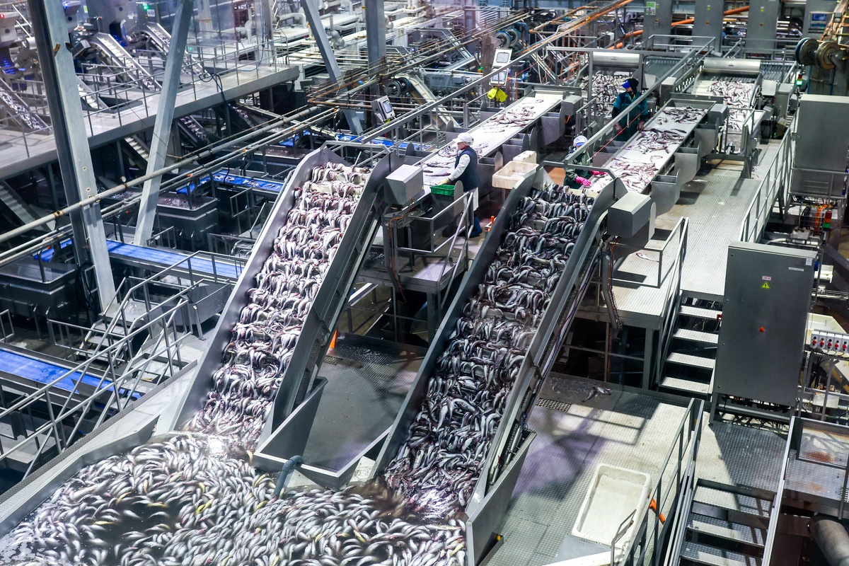 连续生产：高效大规模生产的秘诀