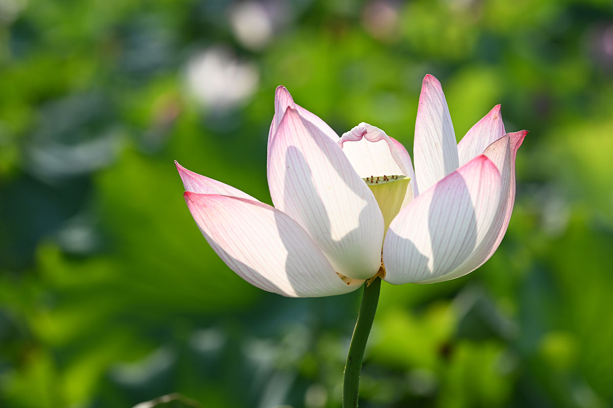 岑巩中等职业技术学校2021年招生简章 - 贵州省黔东南州