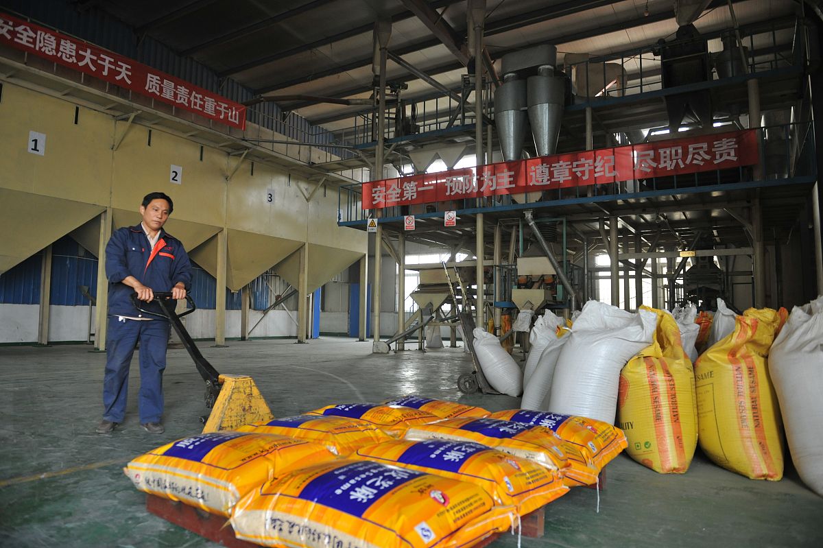 粮油饲料加工技术专业发展前景分析：机遇与挑战并存