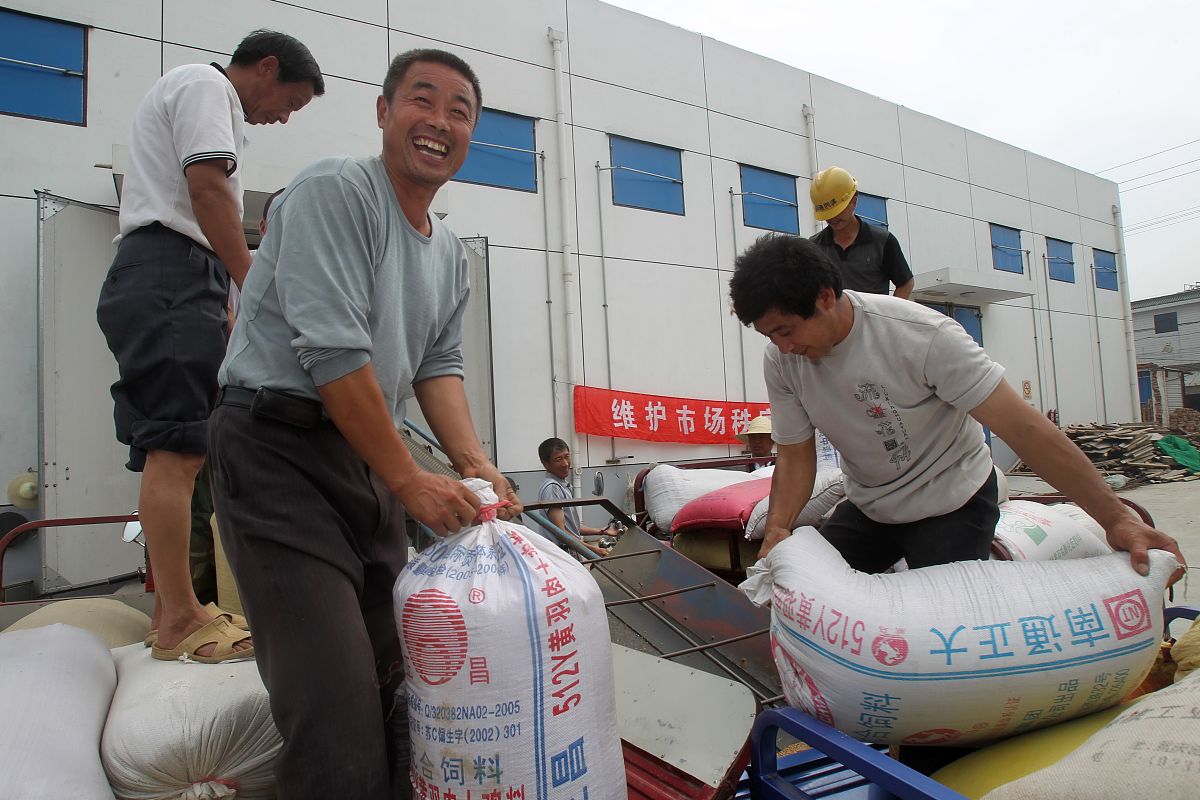 对于去中盐红四方进行化工实习的大学生感想