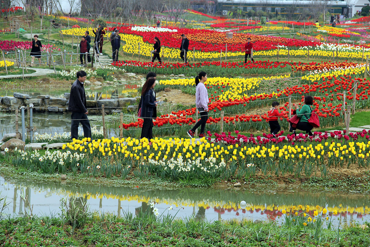 杭州江南专修学院新媒体艺术系专业介绍
