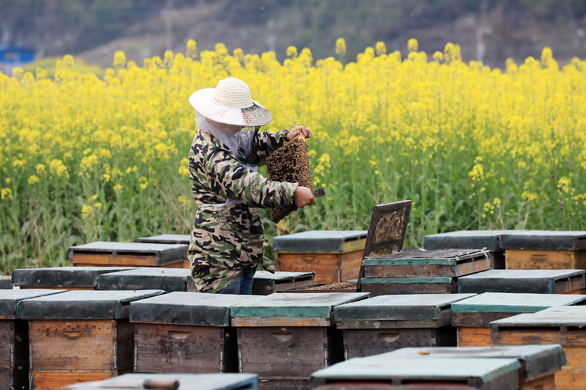 2019年黎平县中等职业技术学校招生简章