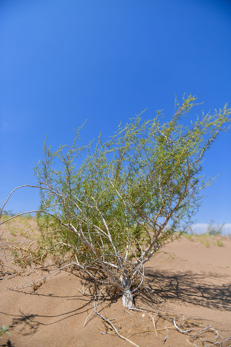 甘肃卫校招生专业：2023年选择指南