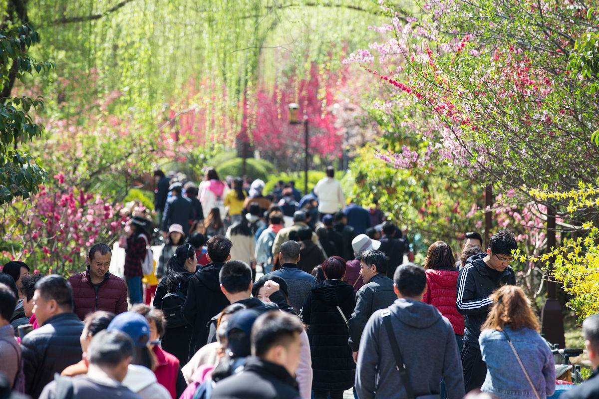 西安海棠职业学院2019年招生简章