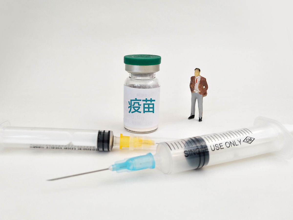 中国小狗打疫苗一共需要多少钱