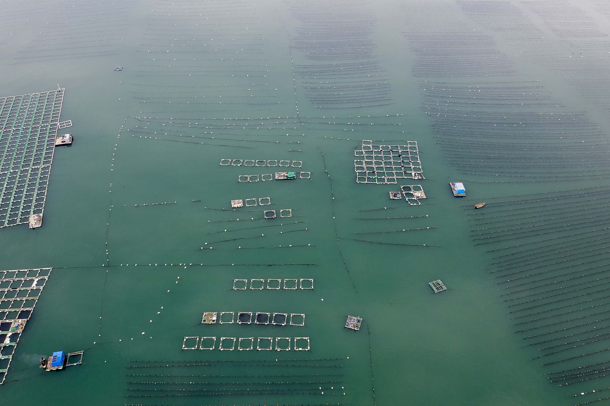 风渔融合养殖平台：现状、前景与发展趋势