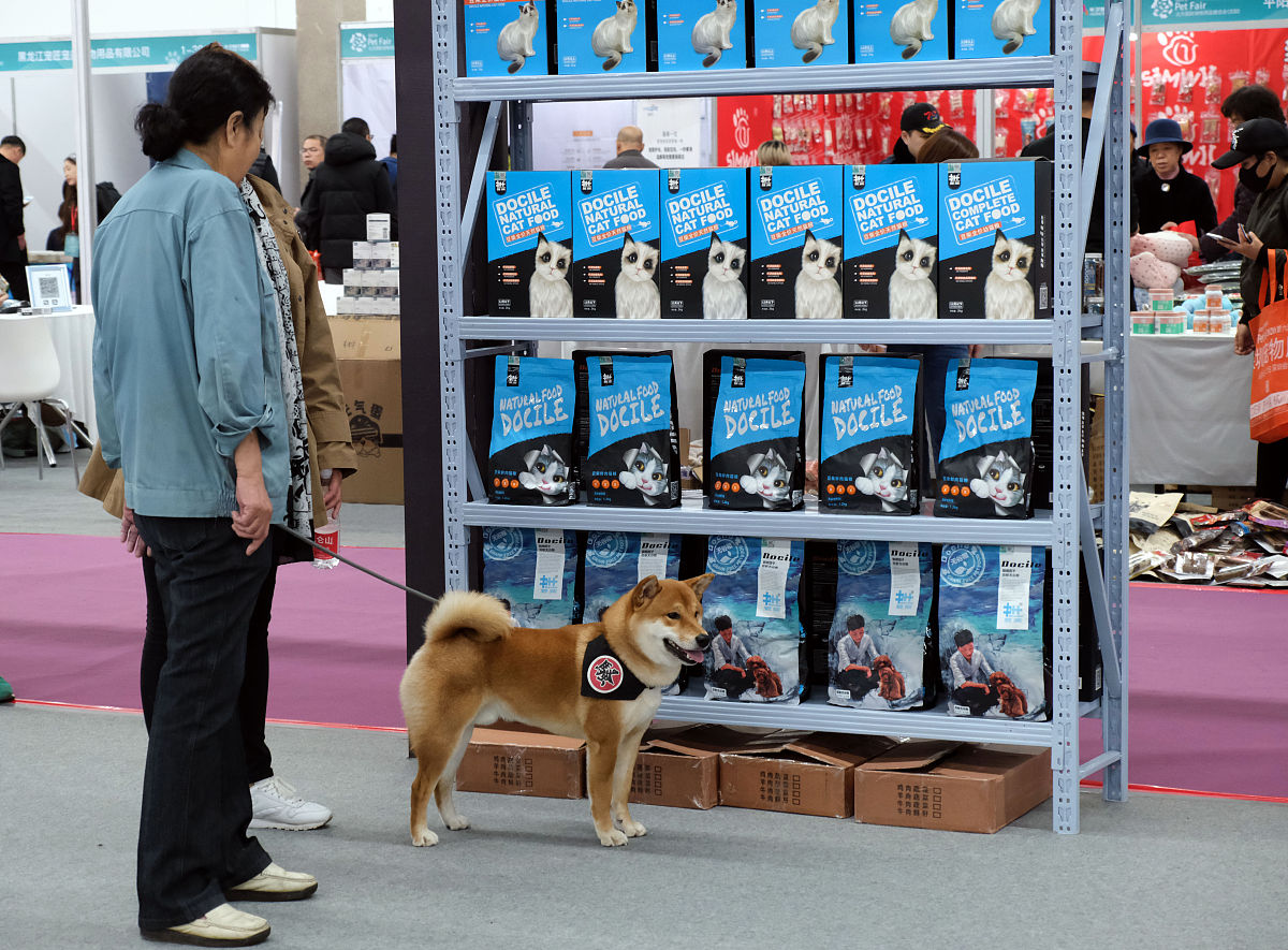 公司今天决定加入宠物市场开始投入设备生产。以此为背景写一篇新闻稿