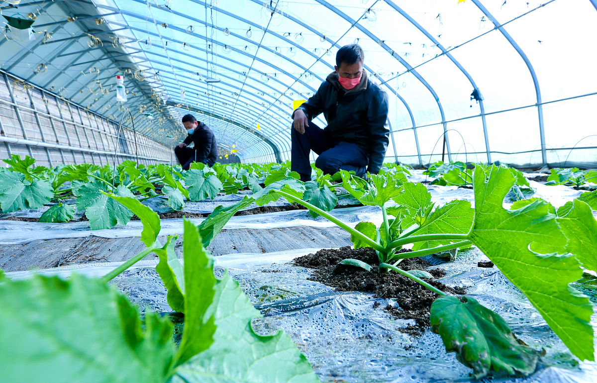 曲靖农业中等学校2019年五年制专业计划 - 培养现代农业人才