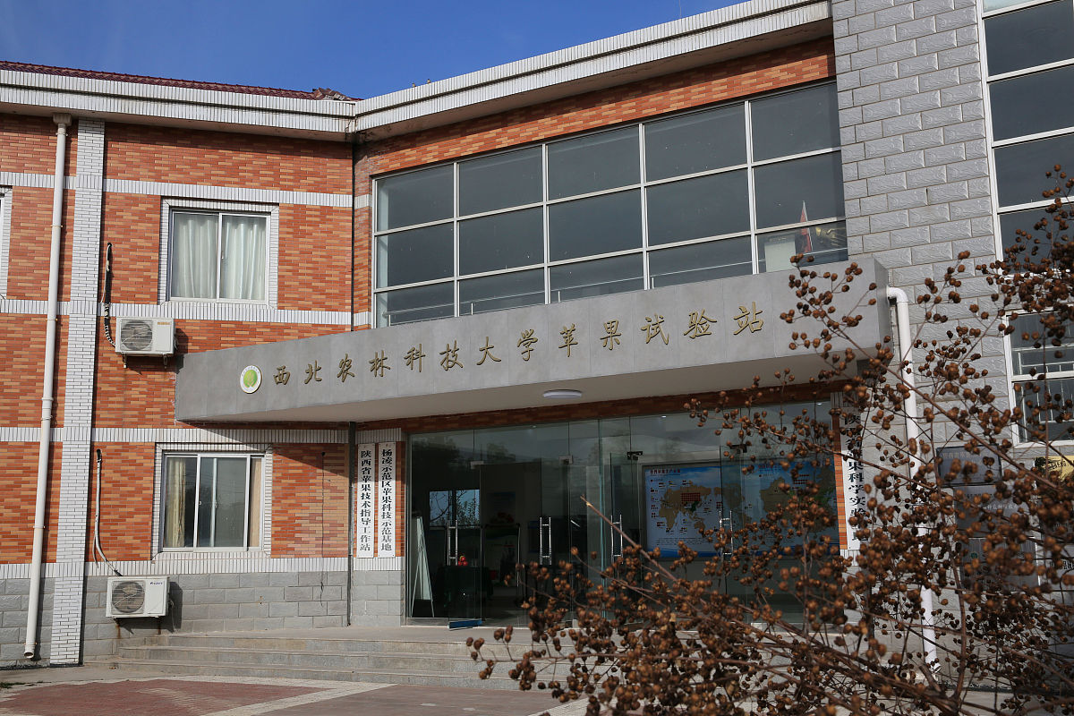 西北农林科技大学的生物科学专业好不好