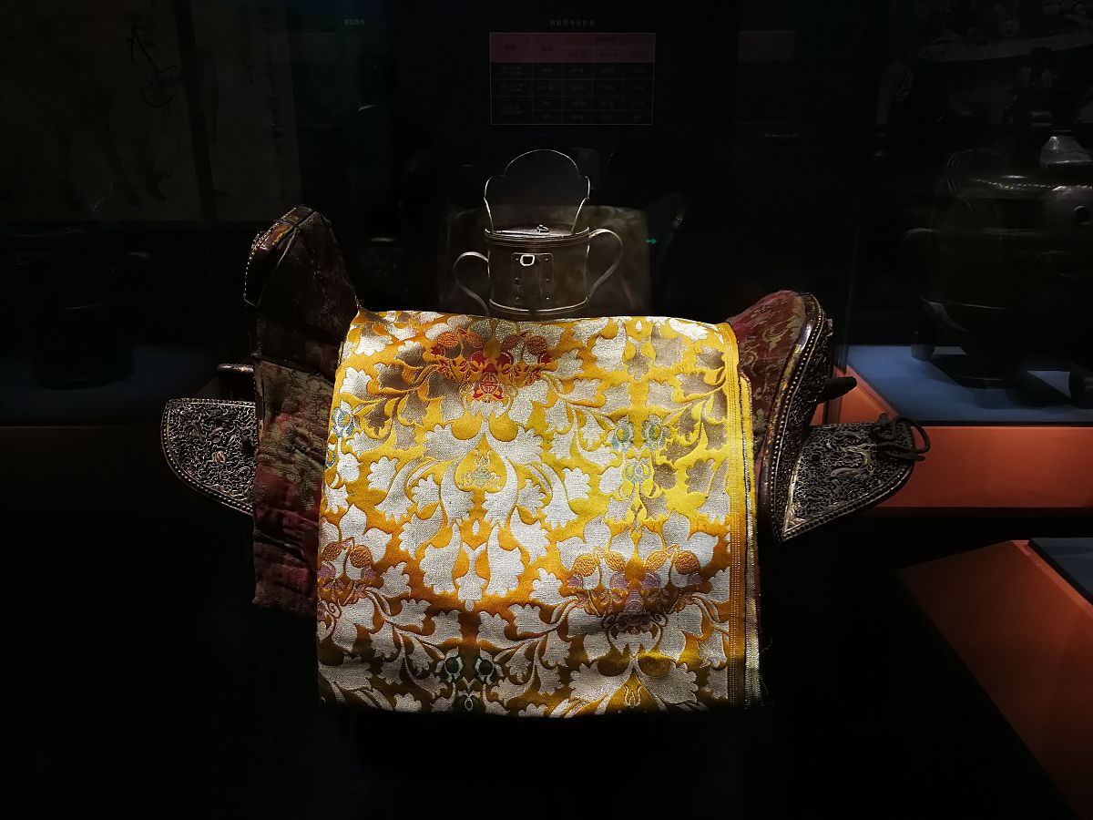 我的生物地理信息采集上面需要我的手机号码 然后我输了我的手机号码是11位 但是上面显示是错误的