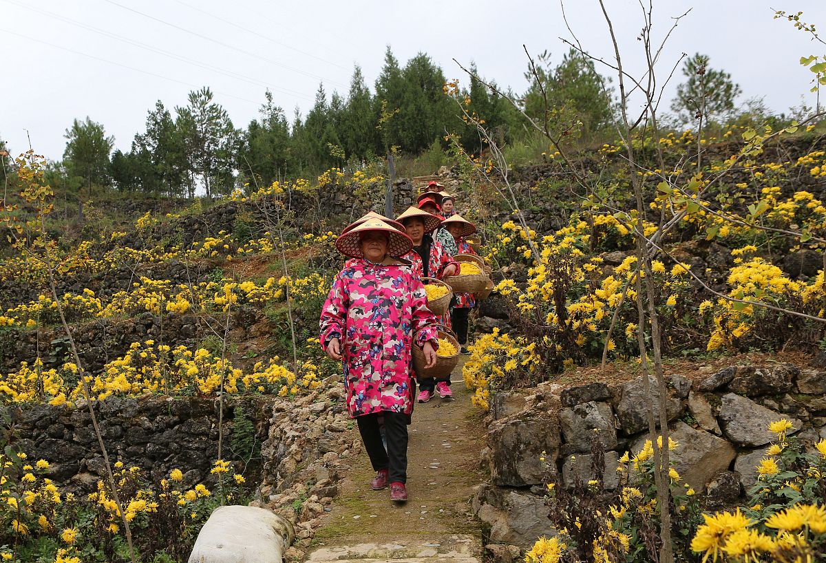 重庆市巫山县职业教育中心计算机应用专业：课程设置及就业前景