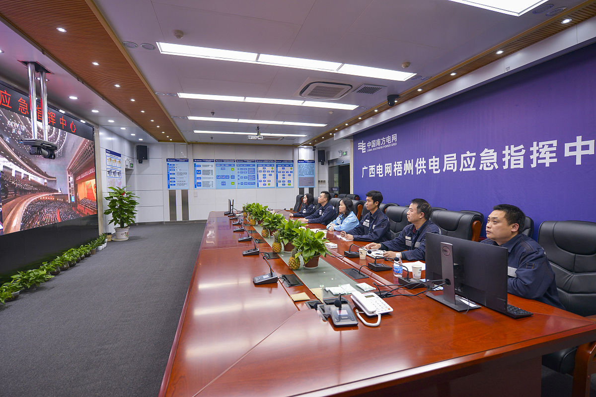 供电公司领导关系管理指南：提升运营与竞争力