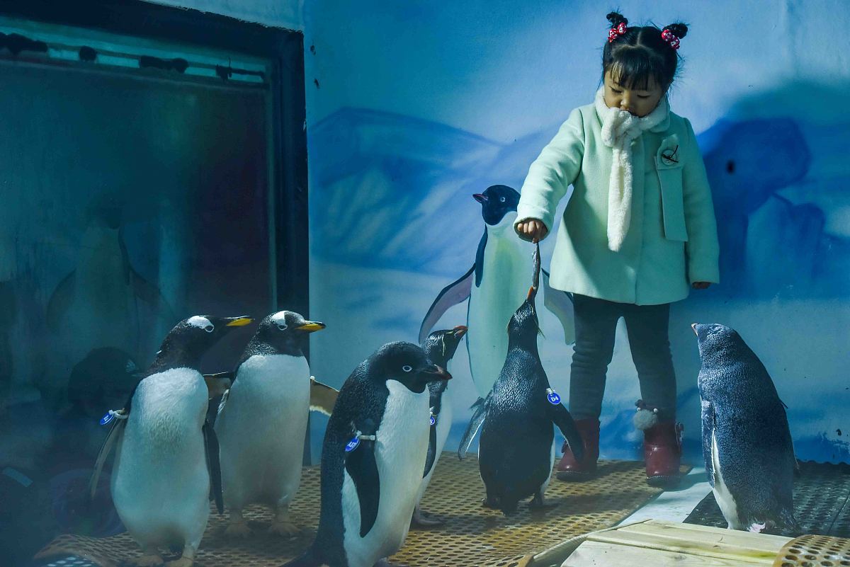 如何回应朋友“但愿我们的情谊能地久天长”？