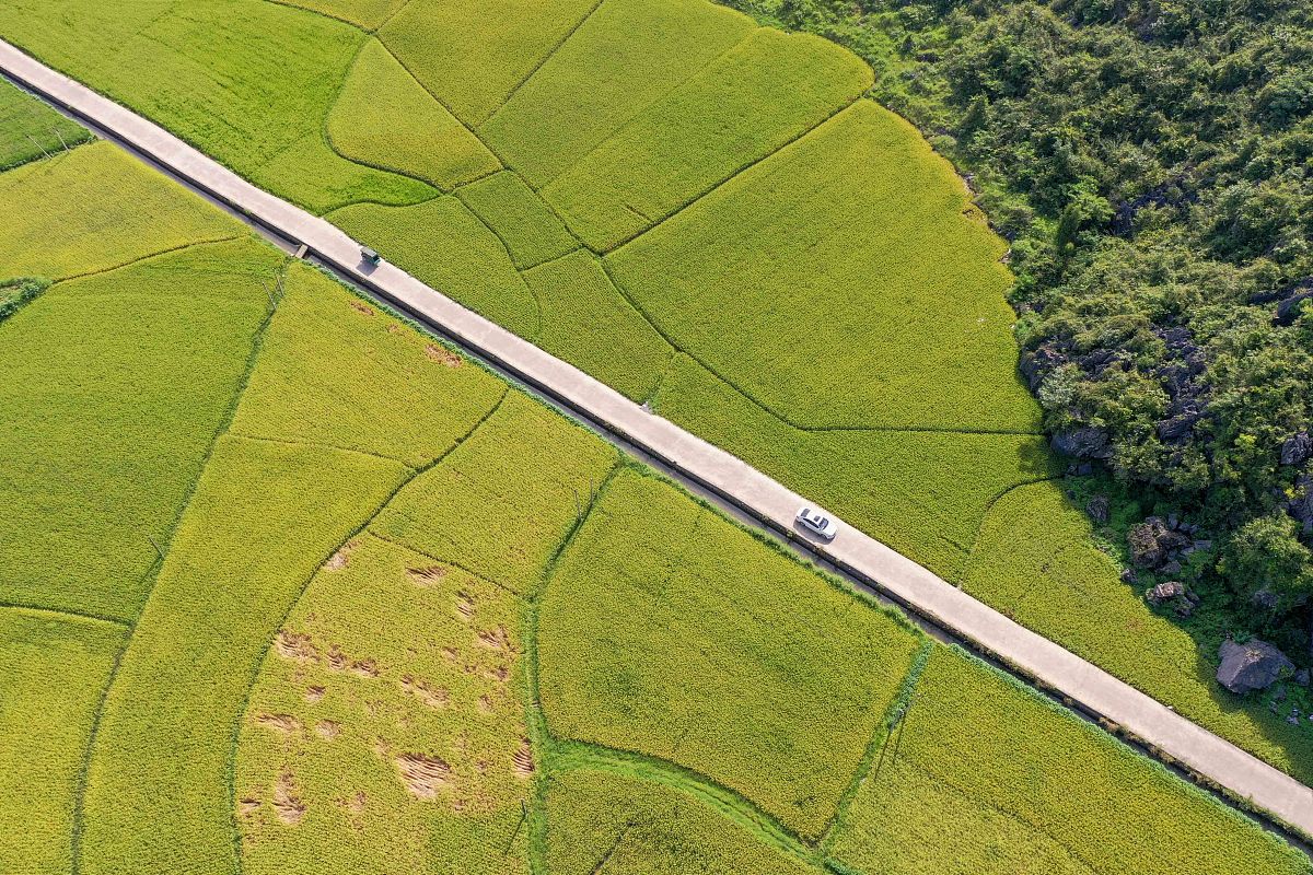 杭州陈经论体育学校2021年招生专业有哪些