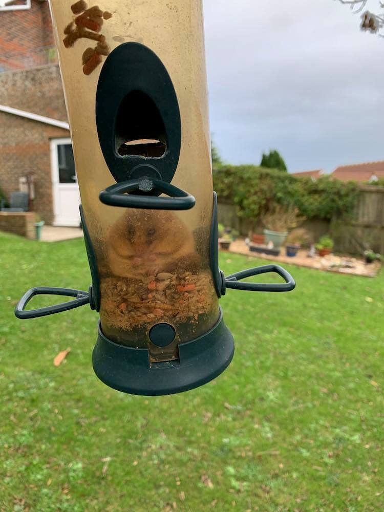 正则表达式的 和 区别在哪里 列举典型例子说明