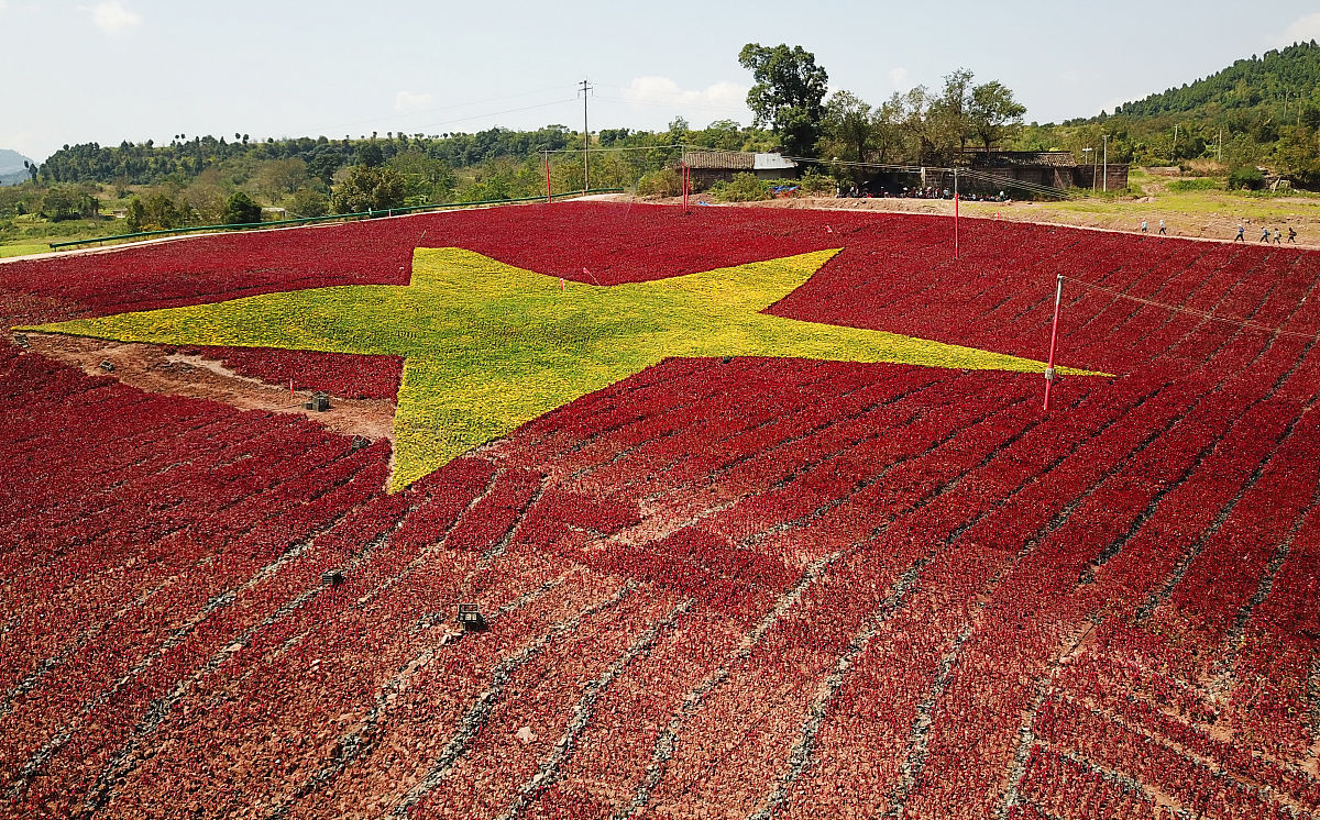 四川天一学院2019招生盛典：五月花金堂等你来！