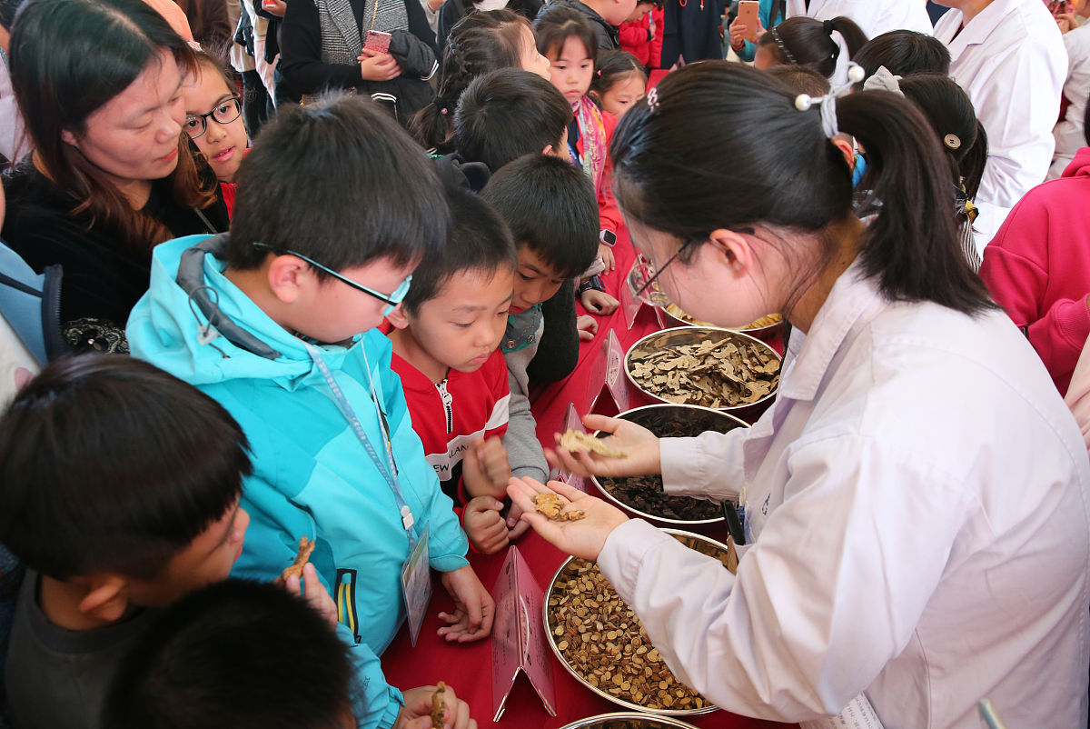 湛江中医学校地址在哪里