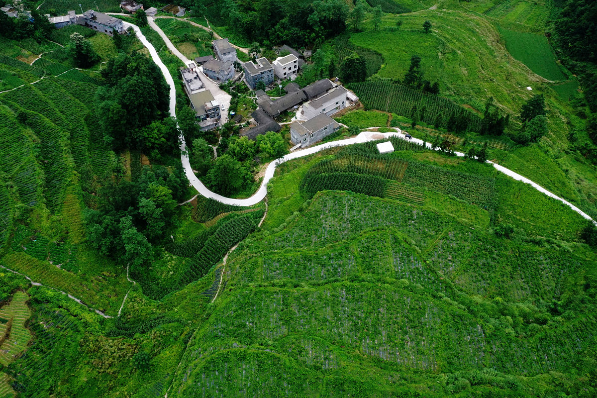 重庆市医药学校2019年招生条件 - 报考指南