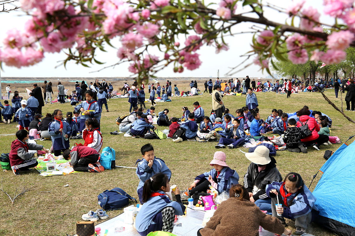 请写一个有意思的清明踏青活动的公众号推文标题