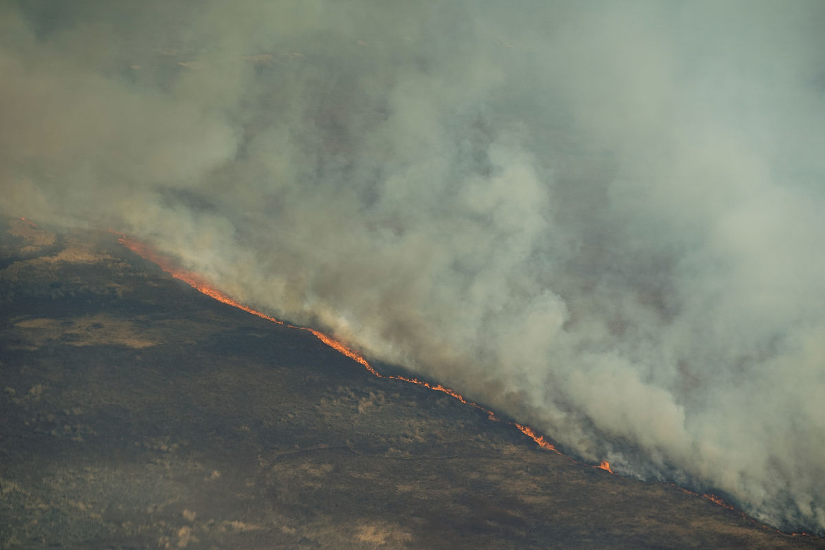 倒春寒的影响：对农业和物候的意义解析