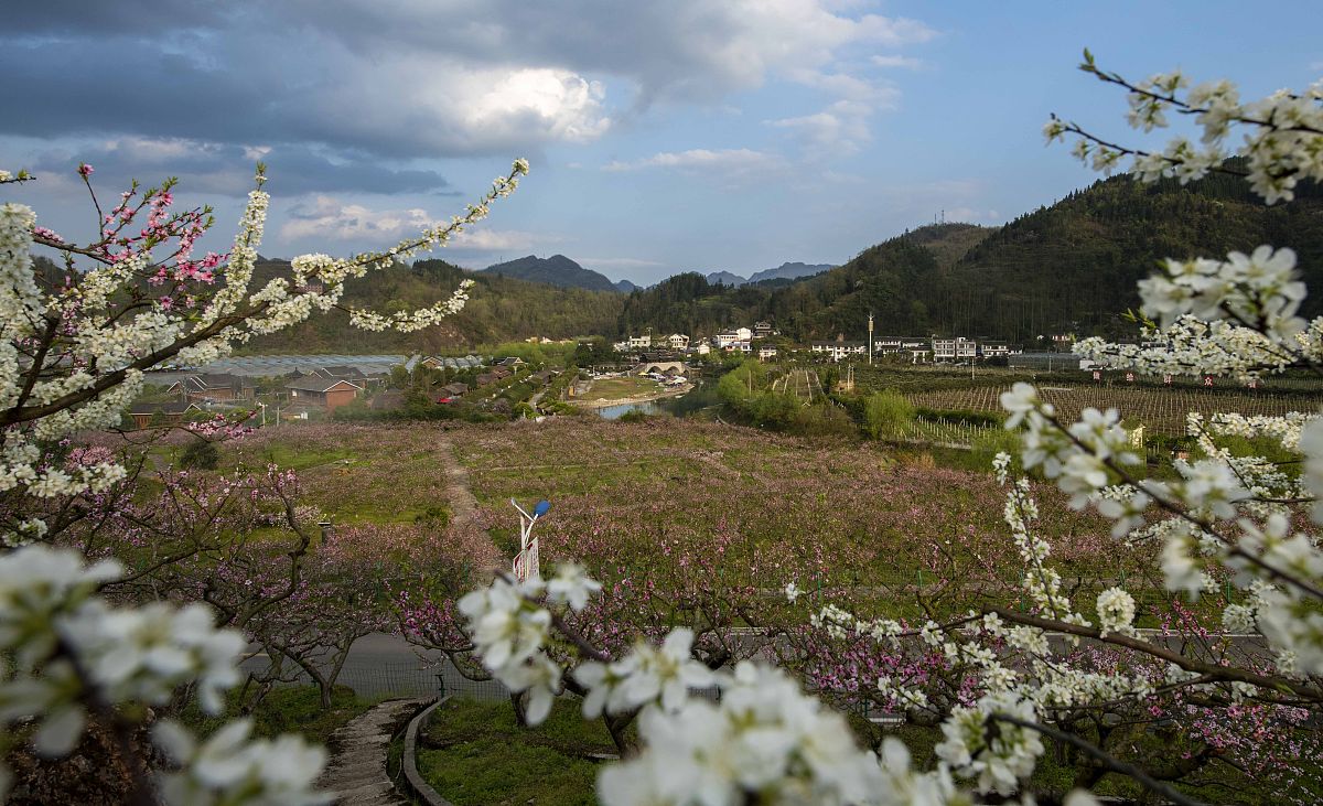 贵州盛华职业学院2022年招生简章 - 培养社会人才，成就美好未来