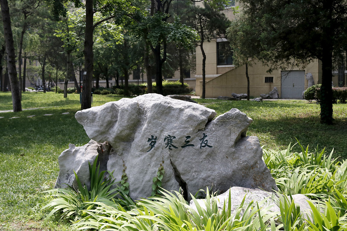 东北财经大学小巷起名：诗意与未来，关爱下一代