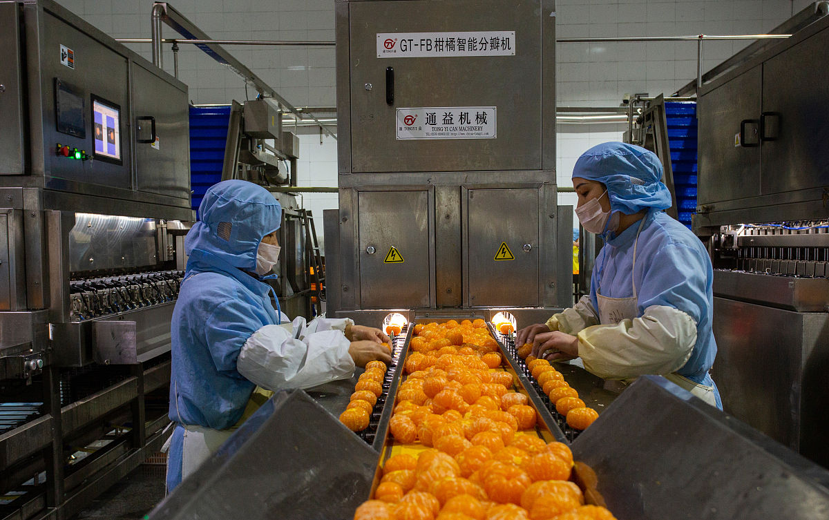 枇杷果汁加工设备方案设计：如何防止代工厂窃取技术？