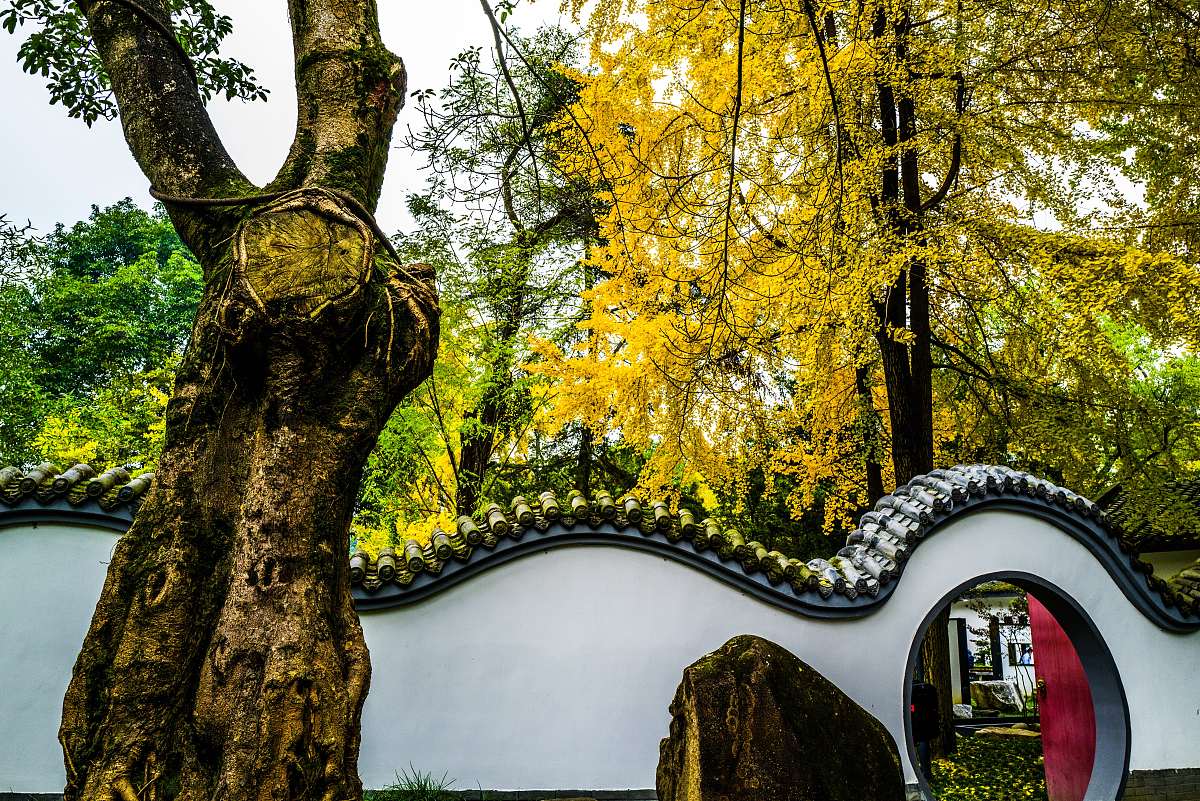 成都2021年初中生如何选择中专？