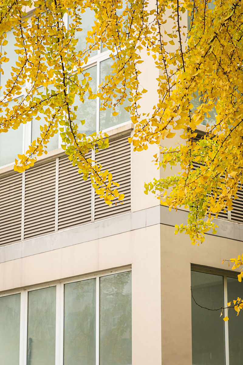 在四川读铁道运输管理专业可以去哪些学校