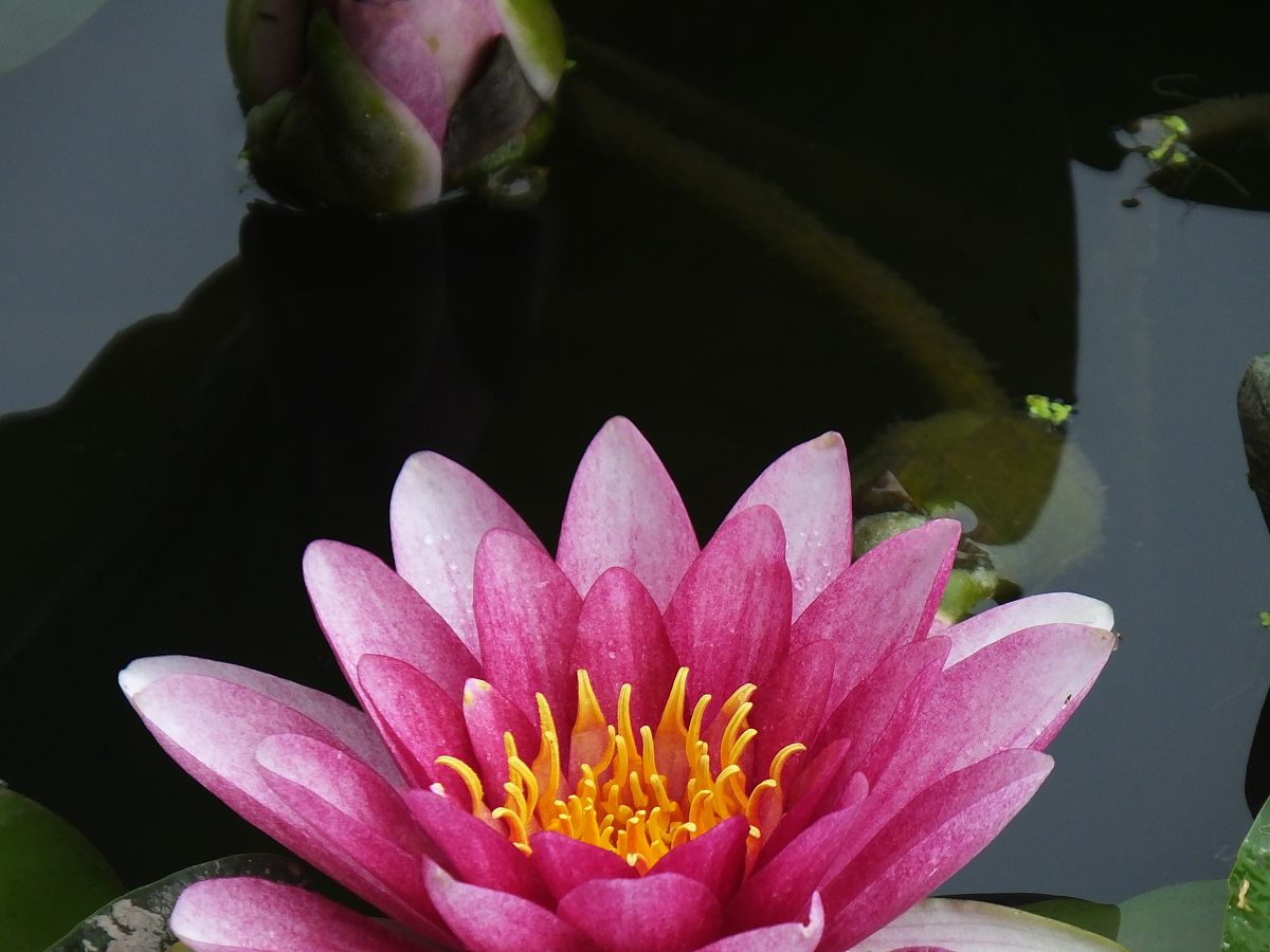 三峡联合职业大学经贸科技学院招生和教学质量介绍