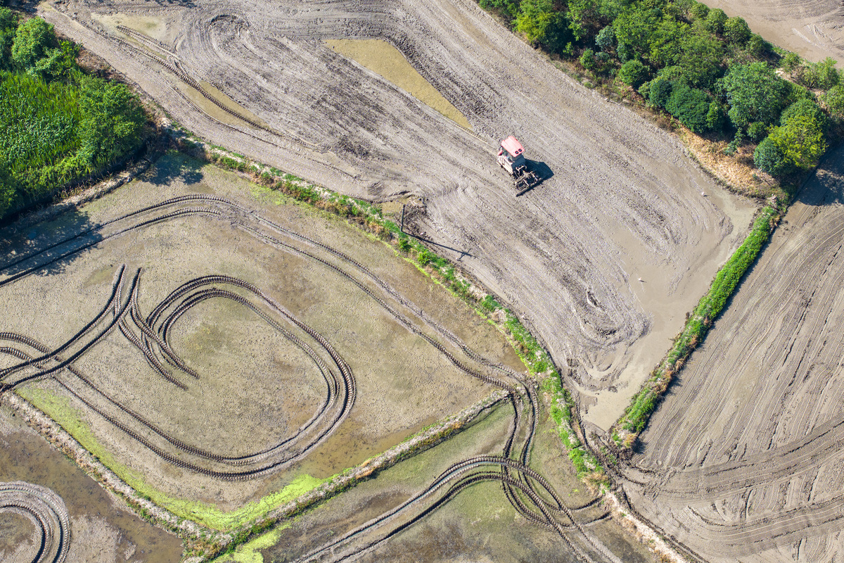 露天矿坑闭坑后地形改造：确保稳定性和植被生长
