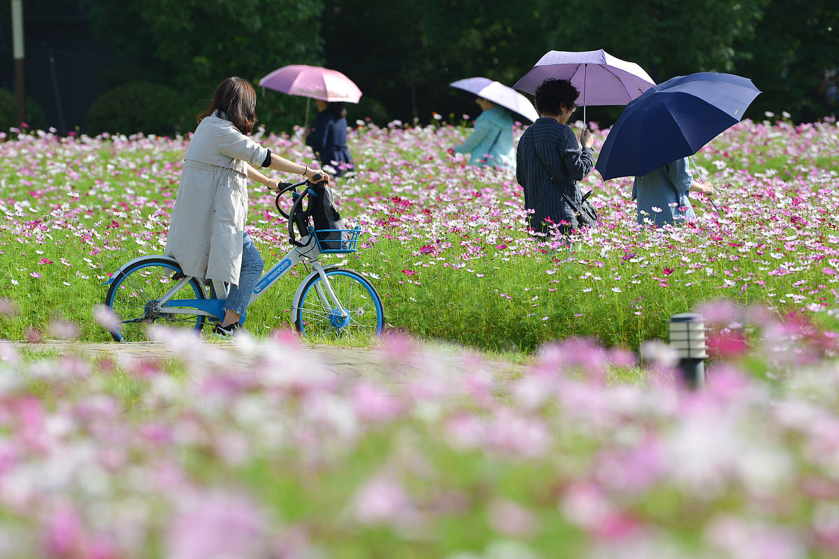 湖北中医药大学物流管理专业