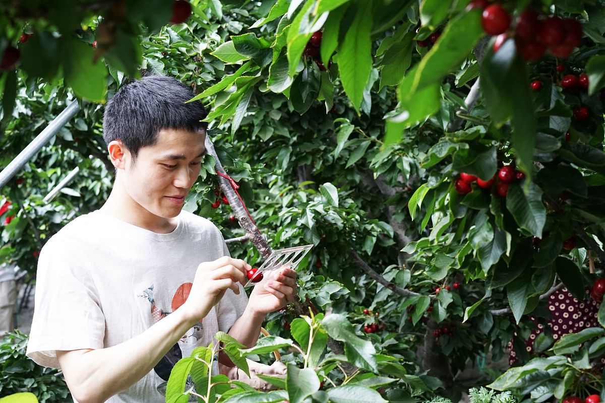 六盘水2020年400分能上铁路学校吗