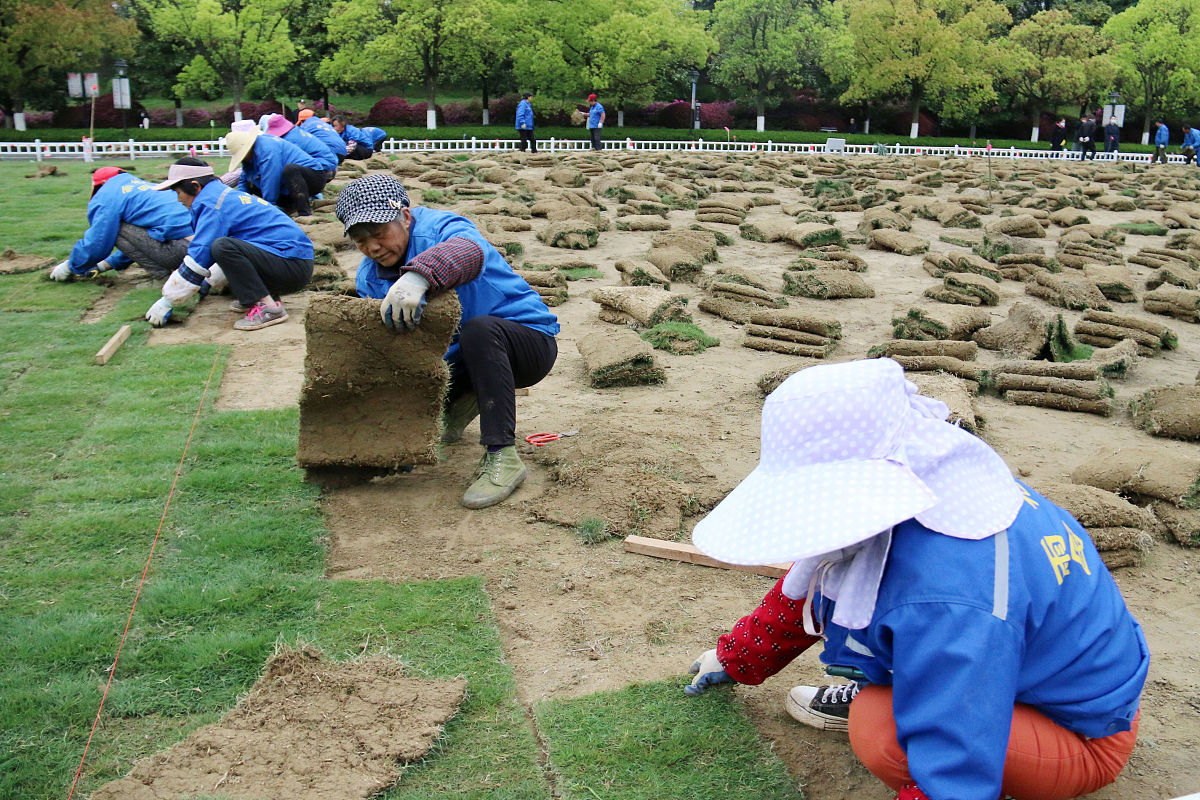 大学生劳动课心得体会：除草实践的收获