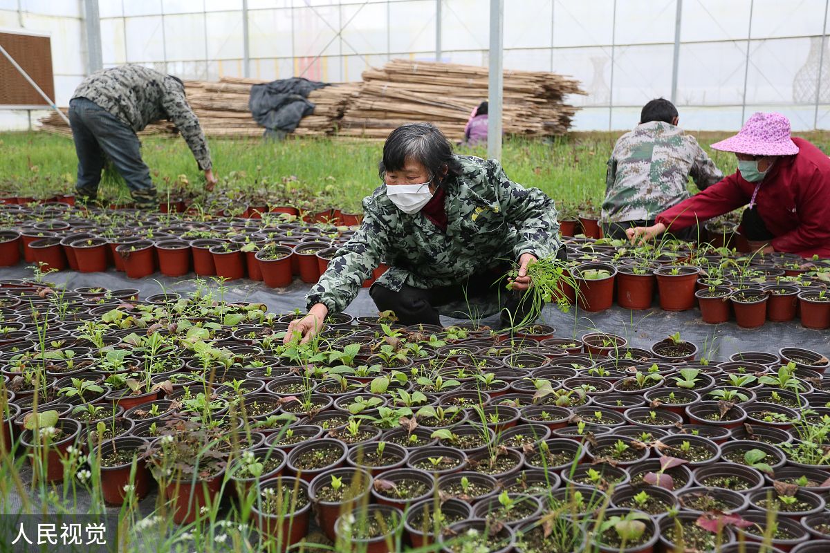 红河州农业学校2024年果蔬花卉生产技术专业招生简章