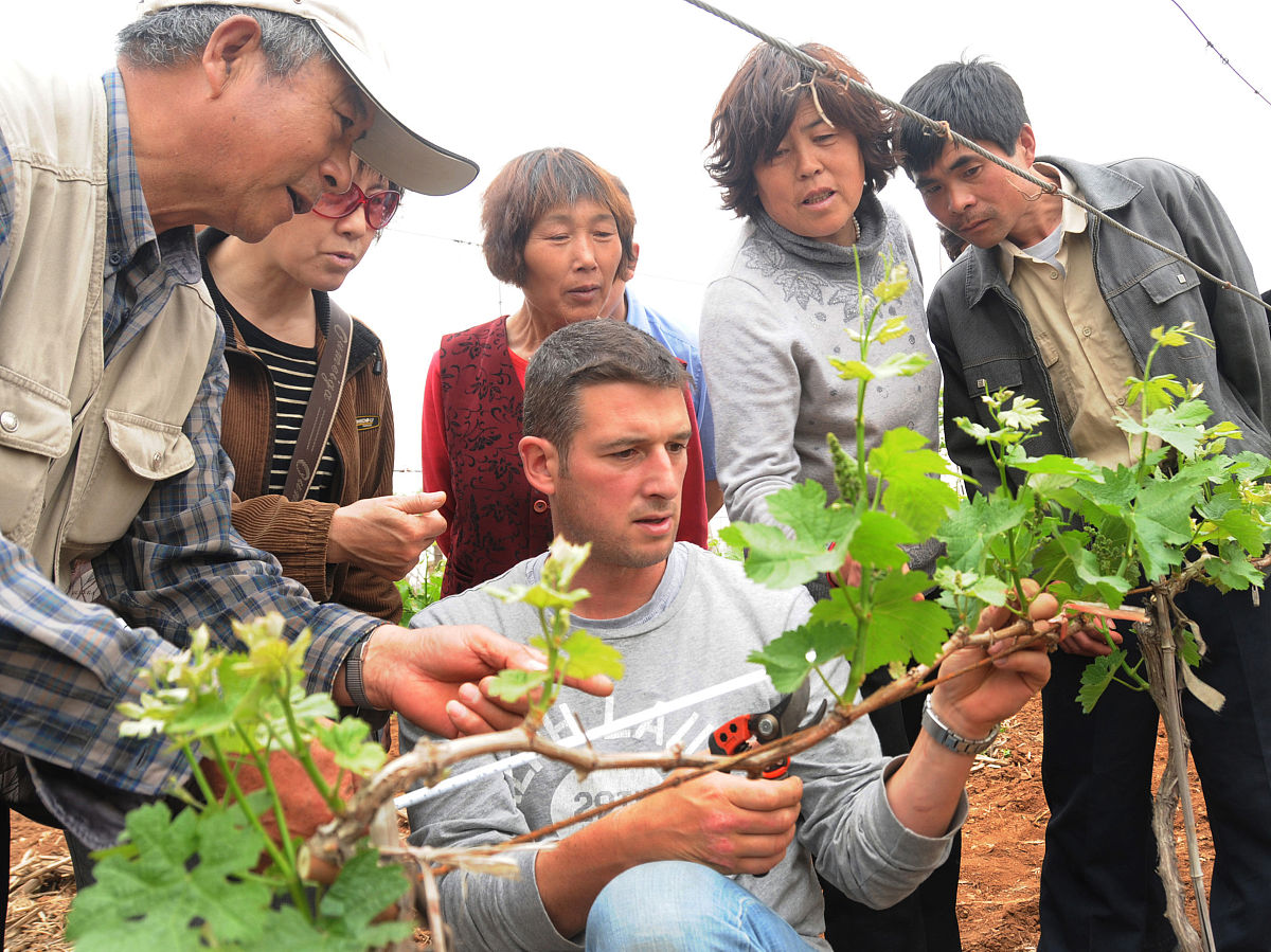 玉溪农业职业技术学院中草药栽培技术专业怎么样