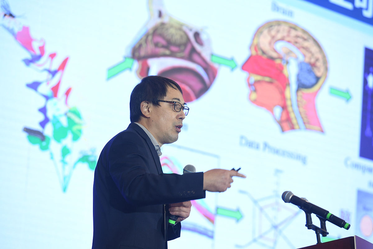 南宁职业技术学院影视动画专业优势怎么样发展前景好不好呢