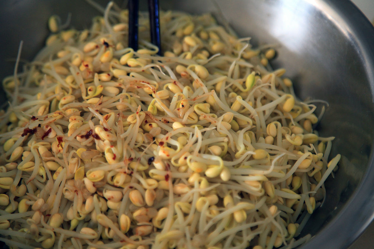 家庭如何自制豆芽