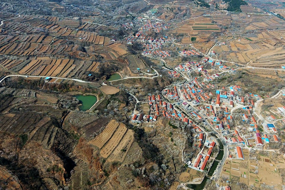 2020年3月22日,青岛西海岸新区铁山镇九上沟景区,樱花,杏花等鲜花盛开
