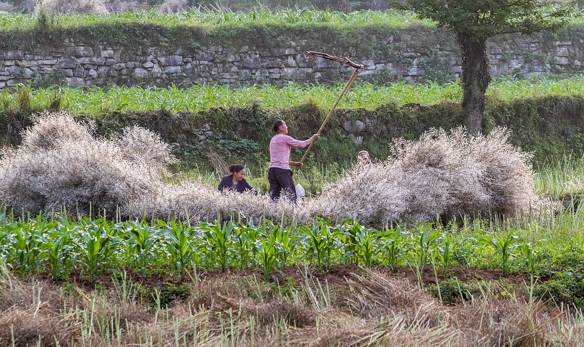 重庆2020年100分能上卫校吗