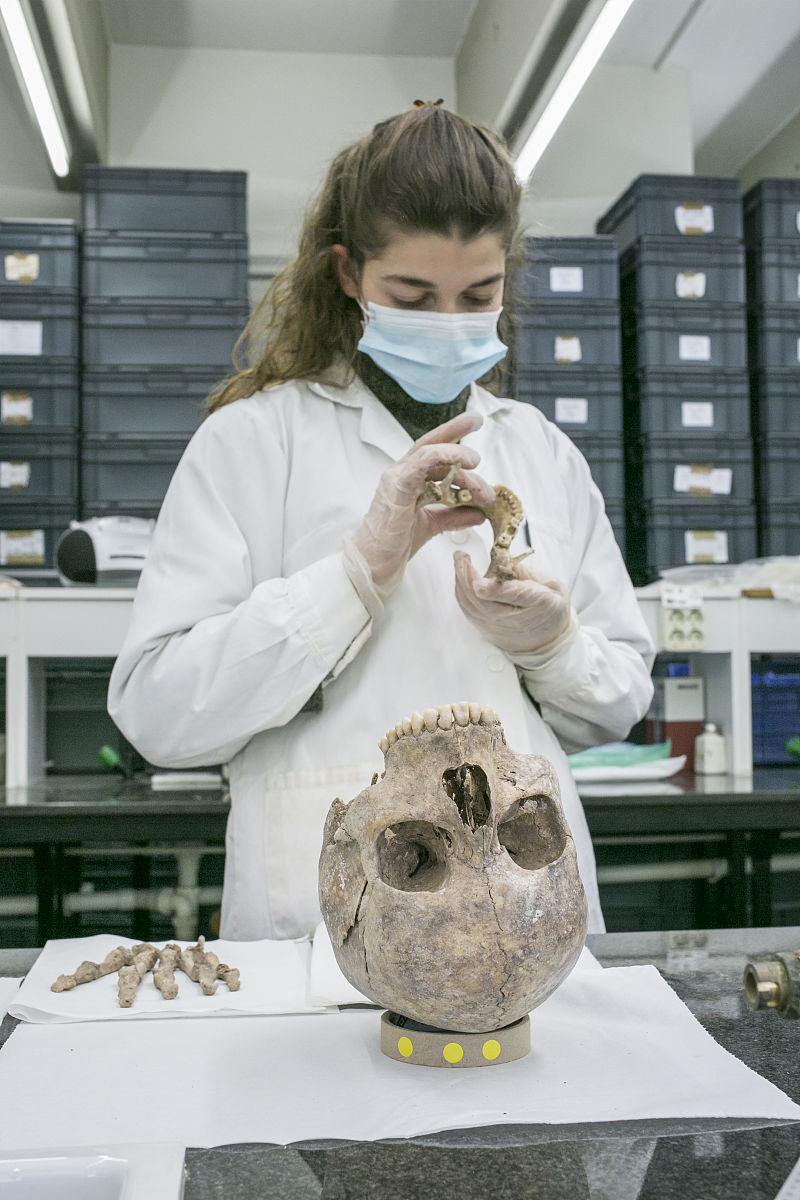 重庆地区文化人类学研究：历史、文化与社会