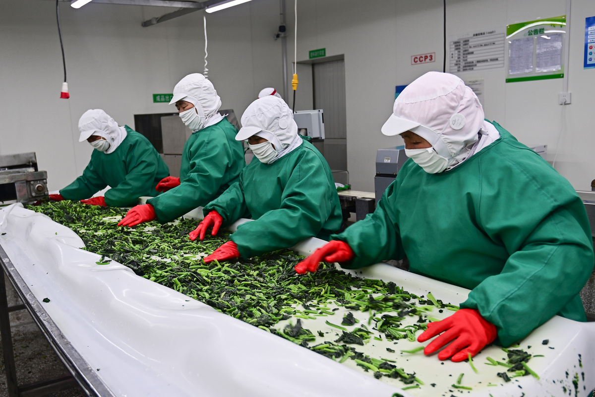 探秘中草药：一次深入的认知实习之旅