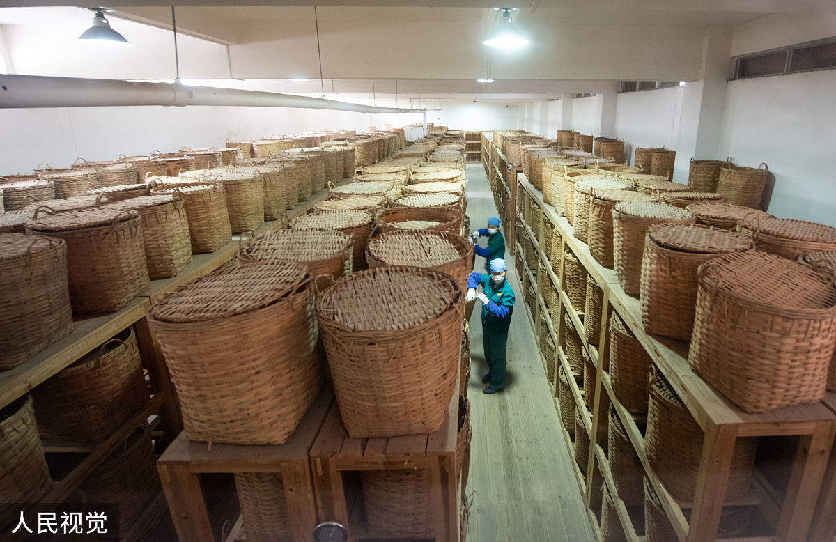 普洱茶最佳储存环境：干湿度、通风、避光全解析