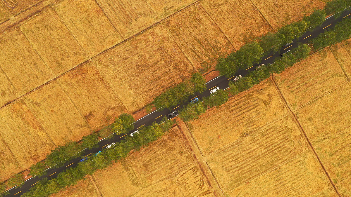 阜阳乡镇企业中专学校2023年招生专业-助力乡村振兴