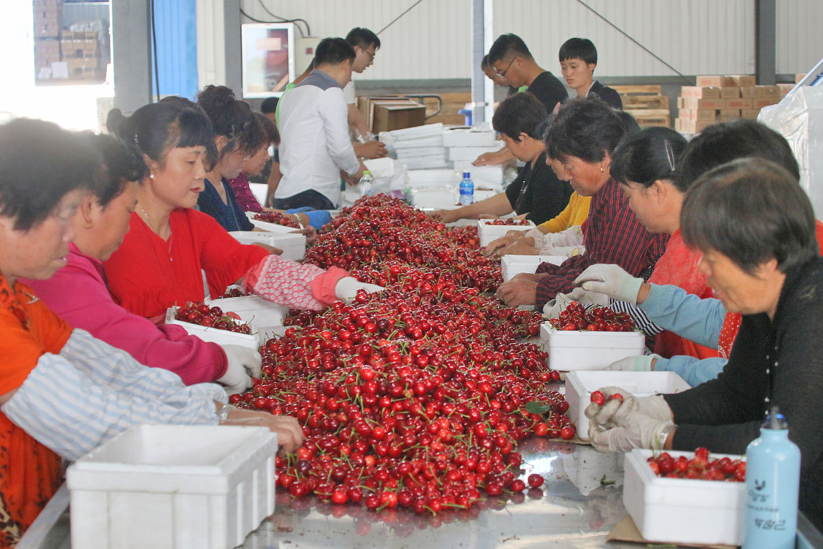 烟台职业学院通信技术专业优势及发展前景