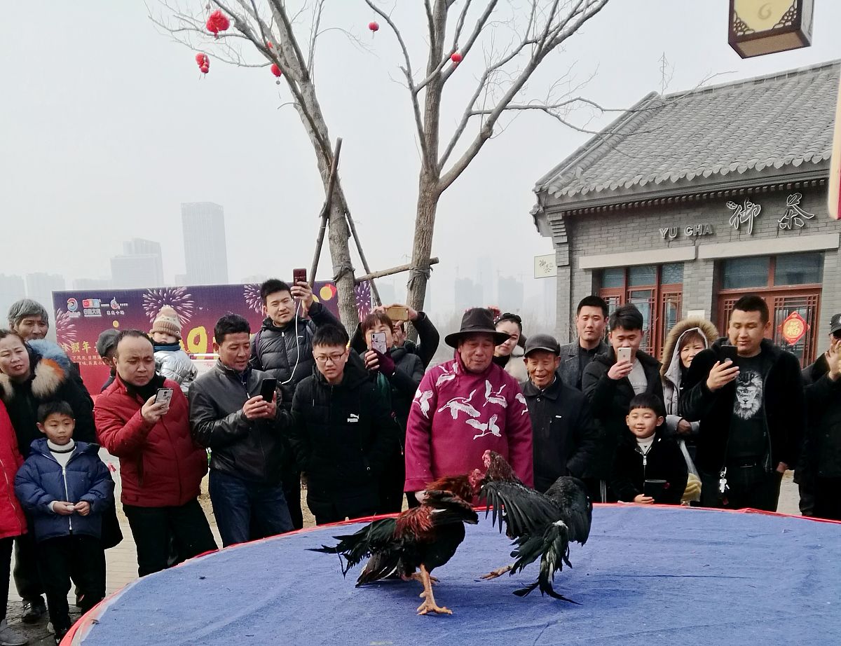 山东媒体曝光平台大全：电视、广播、报纸、网站一网打尽